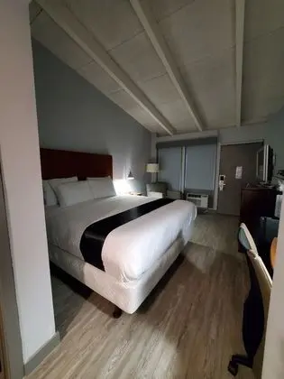 Standard Tek Kişilik Oda, 1 En Büyük (King) Boy Yatak