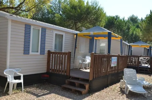 Standard Karavan
