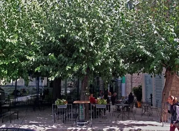 Apart Daire (Happy - in the center - A1(2+1))