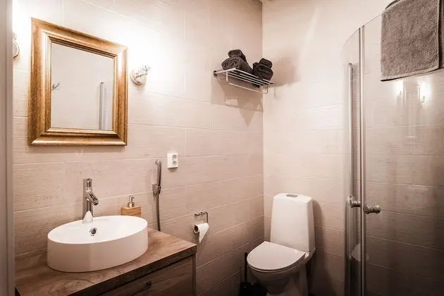 Luxury Süit, 1 En Büyük (King) Boy Yatak ve Çekyat, Balkon, Park Manzaralı