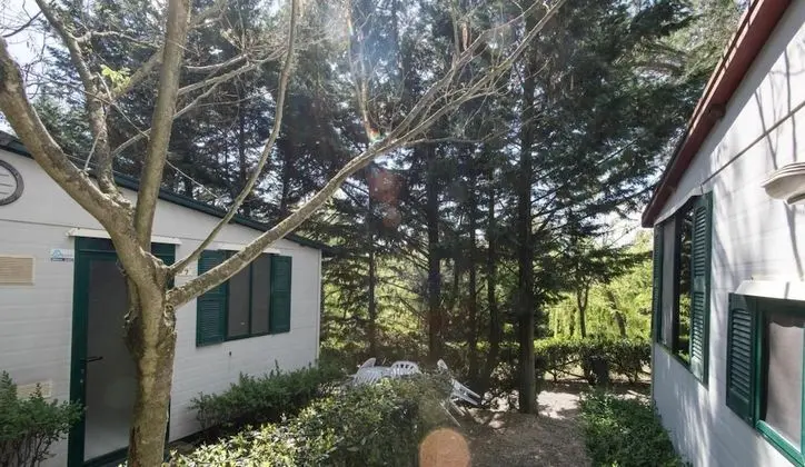 Superior Bungalov