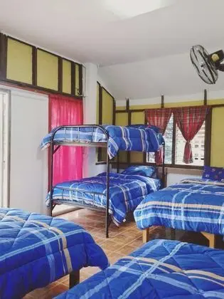 5 Beds Mixed Dormitory, Fan