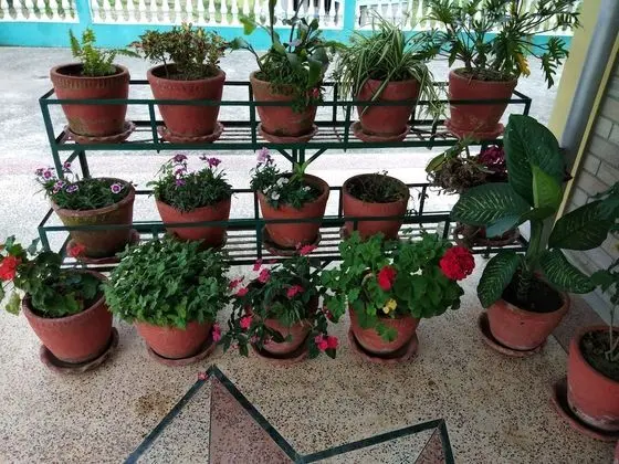 Family Süit, Birden Çok Yatak, Göl Manzaralı, Göl Kenarı