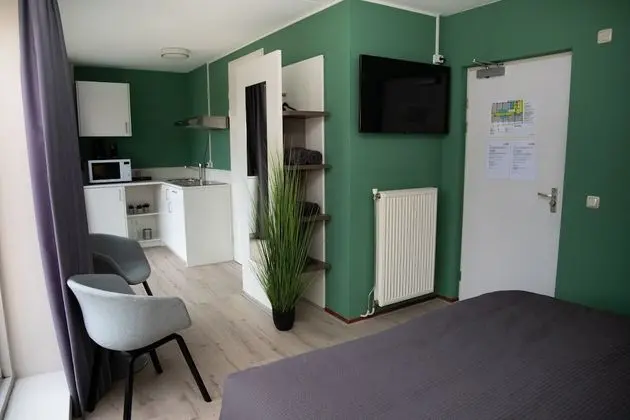 Deluxe Stüdyo, 1 En Büyük (King) Boy Yatak, Sigara İçilmez
