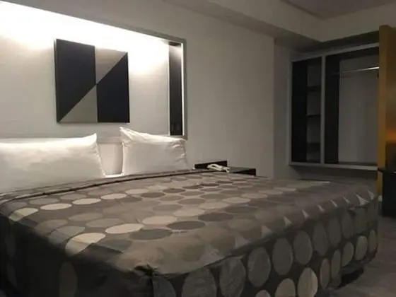 Standard Tek Büyük Yataklı Oda, 1 En Büyük (King) Boy Yatak, Engellilere Uygun, Sigara İçilmez