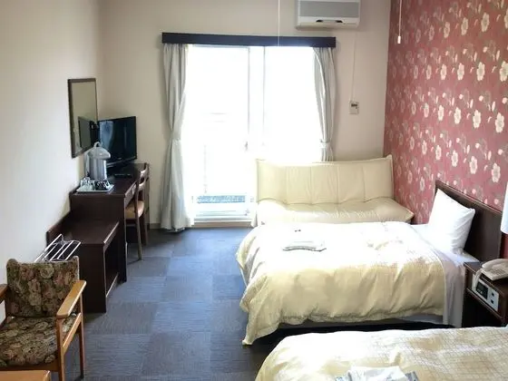 Standard İki Ayrı Yataklı Oda, Sigara İçilebilir (For 1 person)