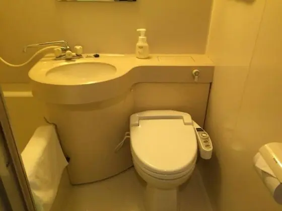 Standard İki Ayrı Yataklı Oda, Sigara İçilebilir (For 1 person)