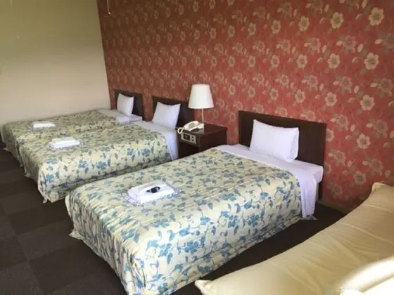 Standard İki Ayrı Yataklı Oda, Sigara İçilmez (For 1 Person)