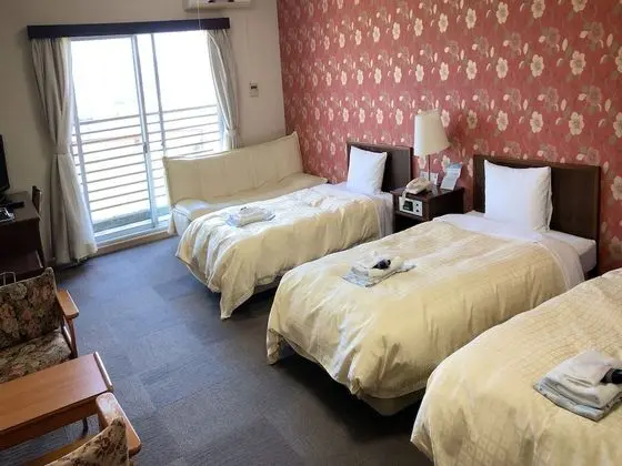 Standard İki Ayrı Yataklı Oda, Sigara İçilmez (For 1 Person)