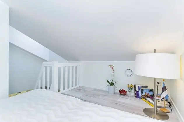 Design Çatı Katı (Loft) (C)