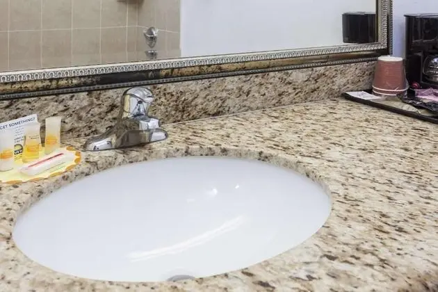 Deluxe Stüdyo Süit, 1 En Büyük (King) Boy Yatak, Sigara İçilmez