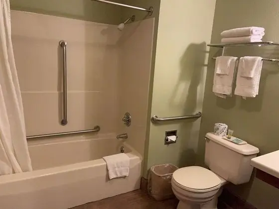 Deluxe Oda, 2 Büyük (Queen) Boy Yatak, Engellilere Uygun