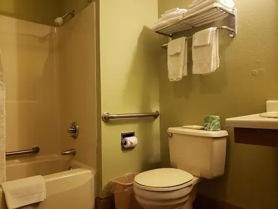 Deluxe Oda, 2 Büyük (Queen) Boy Yatak, Engellilere Uygun