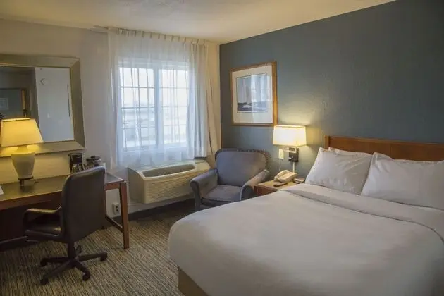 Basic Tek Büyük Yataklı Oda