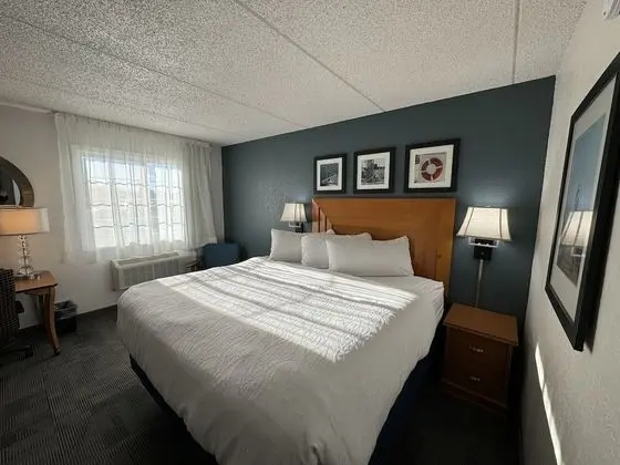 Deluxe Oda, 1 En Büyük (King) Boy Yatak