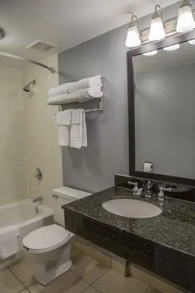 Deluxe Oda, 1 En Büyük (King) Boy Yatak