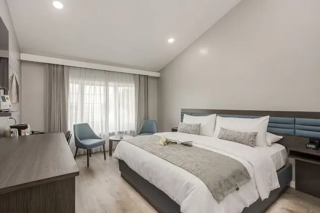 Deluxe Oda, 1 En Büyük (King) Boy Yatak