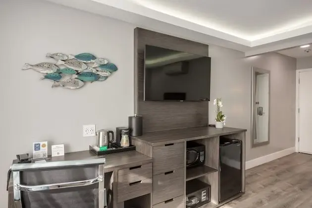 Deluxe Oda, 1 En Büyük (King) Boy Yatak