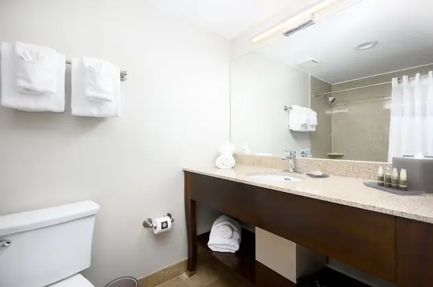 Luxury Süit, 1 En Büyük (King) Boy Yatak ve Çekyat