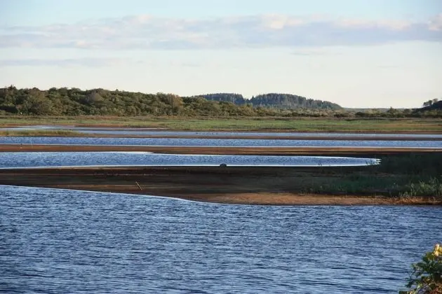 Apart Daire (Harborsides Neighbor)