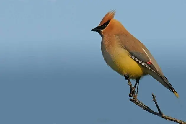 Apart Daire (Harborsides Neighbor)