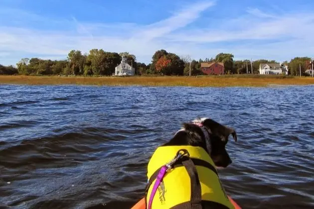 Apart Daire (Harborsides Neighbor)