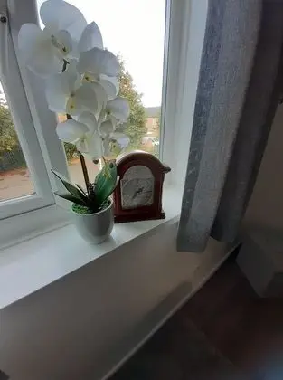 Apart Daire, 1 Yatak Odası, Mikrodalga