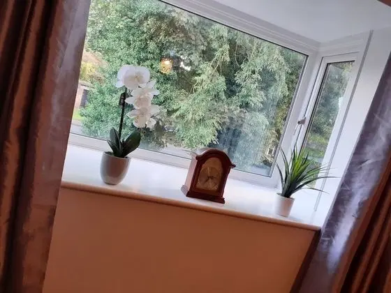 Apart Daire, 1 Yatak Odası, Mikrodalga