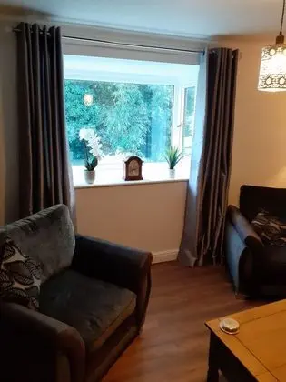 Apart Daire, 1 Yatak Odası, Mikrodalga