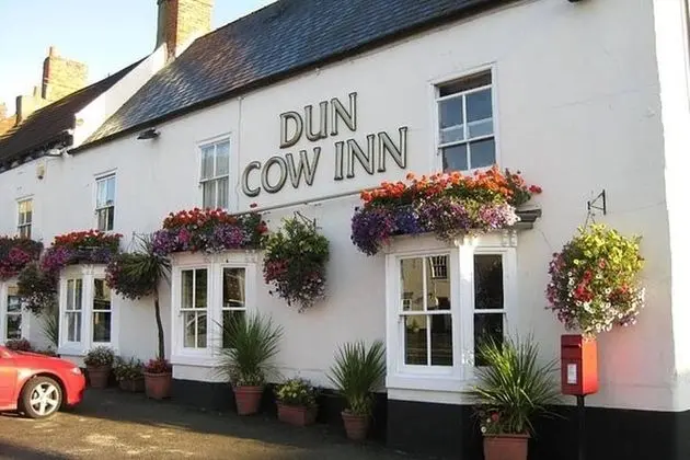 Apart Daire, 1 Yatak Odası, Mikrodalga