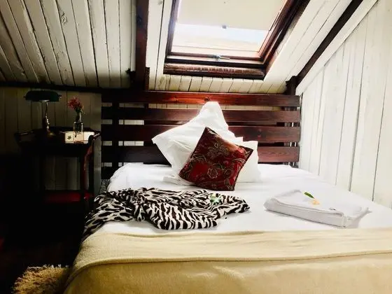 Çatı Katı (Loft)