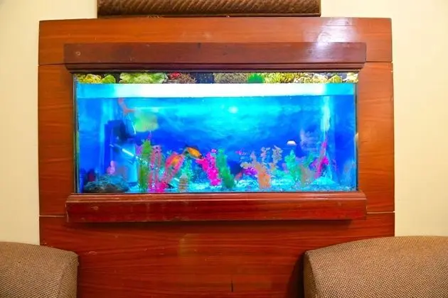 Deluxe Room with Fish Aquarium