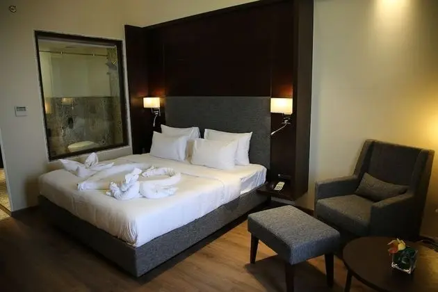 Premium Oda, 1 Çift Kişilik Yatak, Sigara İçilmez, Bahçe Manzaralı
