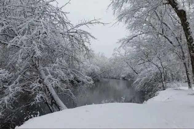 Ev