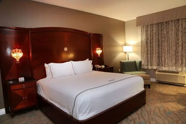 Deluxe Oda, 1 En Büyük (King) Boy Yatak