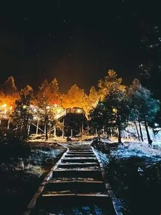 Bungalov