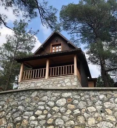 Suit Bungalov