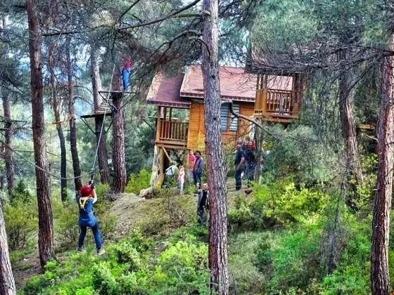 Suit Bungalov
