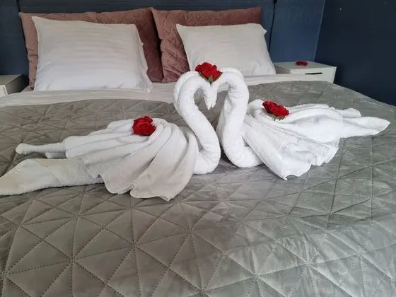 Superior Tek Büyük Yataklı Oda