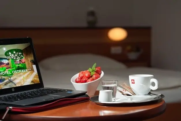 Business Tek Büyük veya İki Ayrı Yataklı Oda