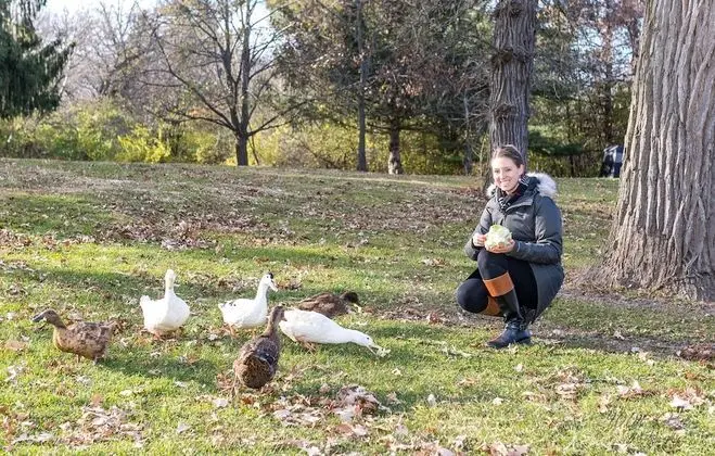 Family Dört Kişilik Oda