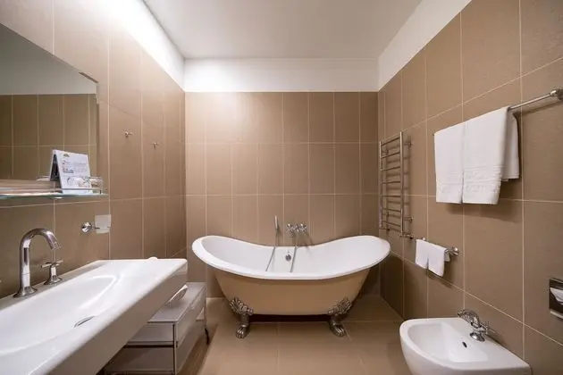 Standard Tek Büyük Yataklı Oda, Park Manzaralı (Spa Access)