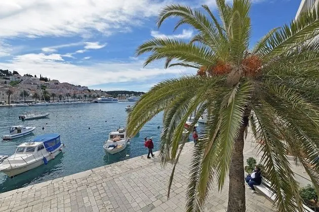 Oda, Deniz Manzaralı