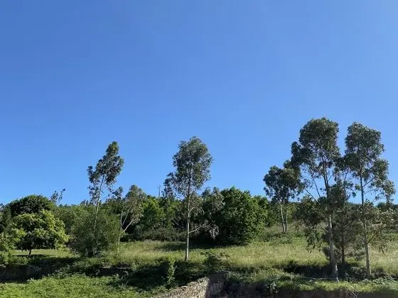 Standard Apart Daire, 2 Yatak Odası