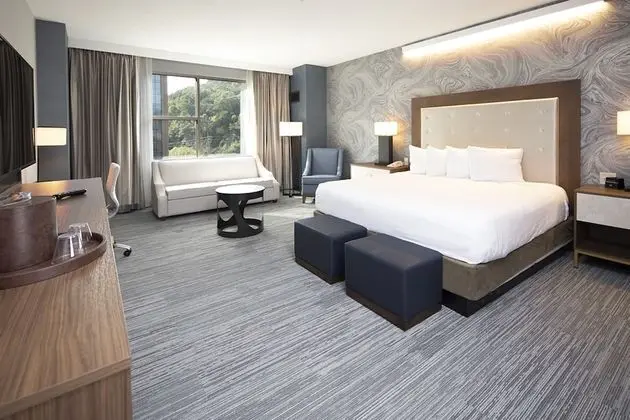 Mountain Premium Room 1 King Non Smoking