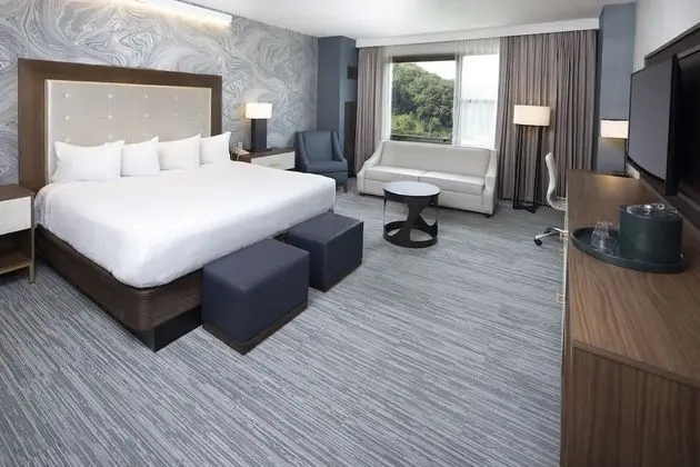 Mountain Premium Room 1 King Non Smoking