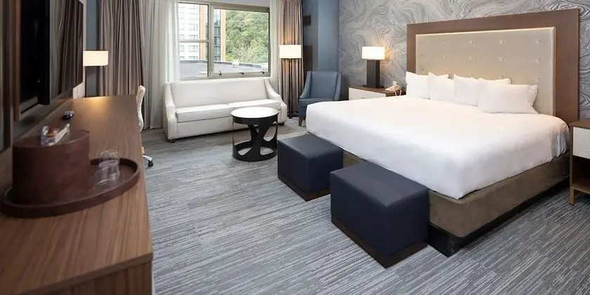 Mountain Premium Room 1 King Non Smoking