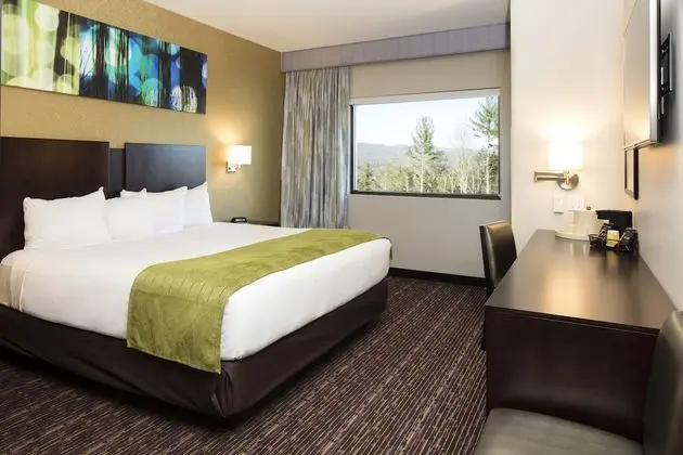 Luxury Oda, 1 En Büyük (King) Boy Yatak, Sigara İçilmez (River Tower)
