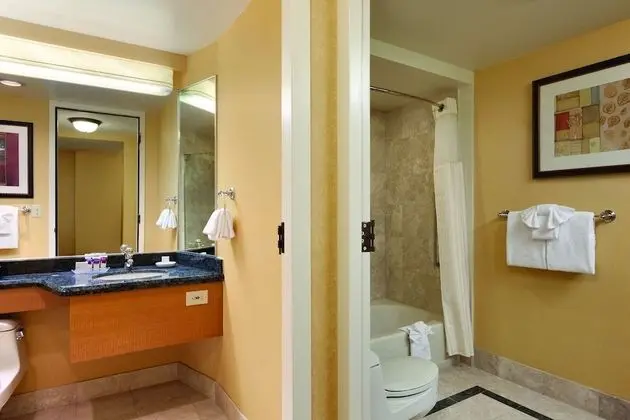 Mountain View Suite King Non-Smoking