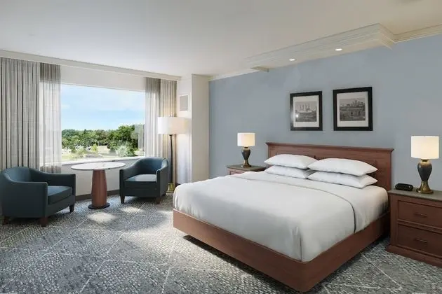 Premium Oda, 1 En Büyük (King) Boy Yatak, Sigara İçilebilir (Las Vegas Tower)